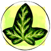 greenedera art logo elenazambelli