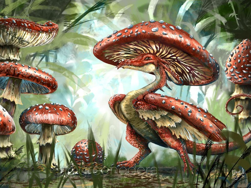 New artwork: Big Bad Mushroom&nbsp;Dragon