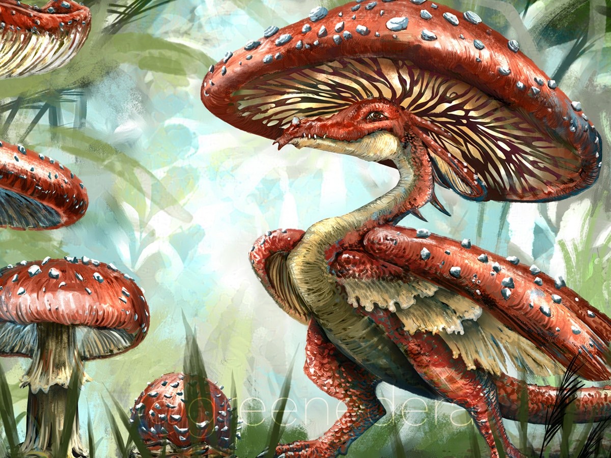 Big Bad Mushroom&nbsp;Dragon